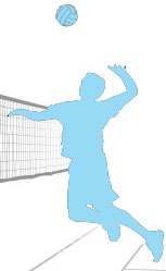 Volei masculin
