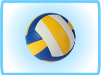 Volei